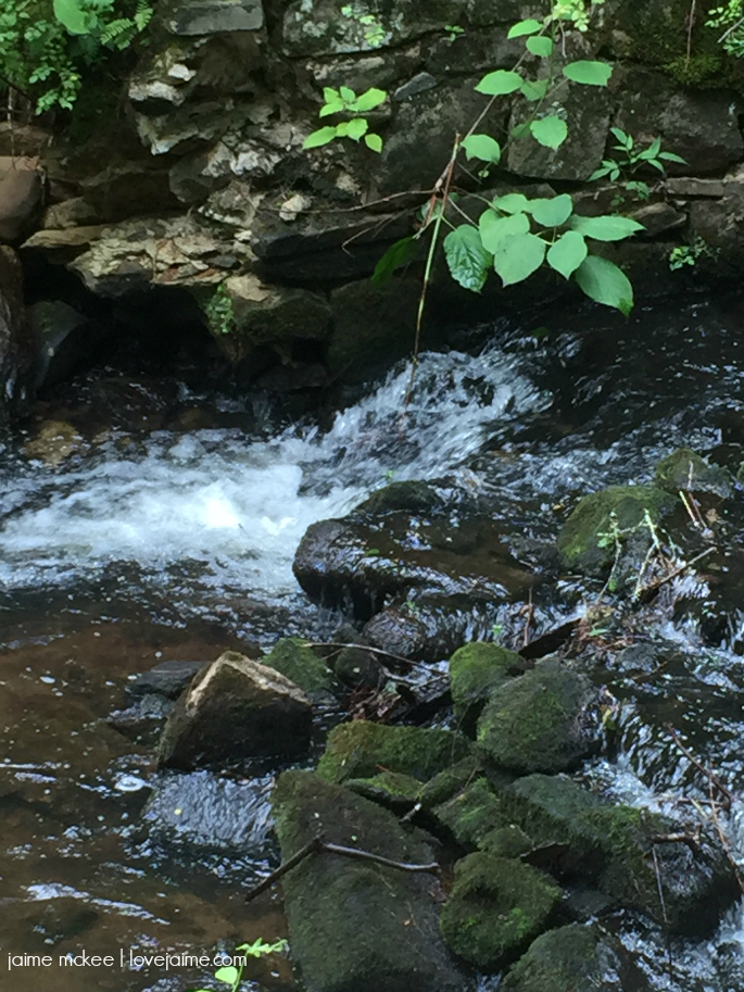Bent Creek Hike in Asheville NC