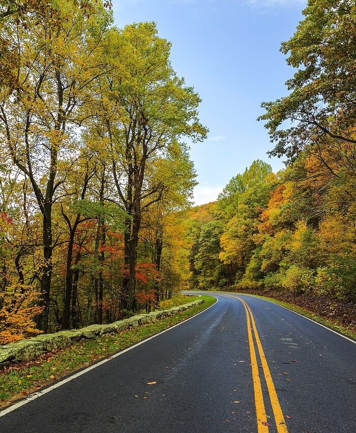 Five places to see fall leaves around Charlottesville